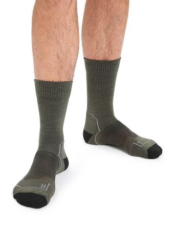 Men's Icebreaker Merino Hike+ Light Crew Socks Loden / Black | CA 1905RVDW